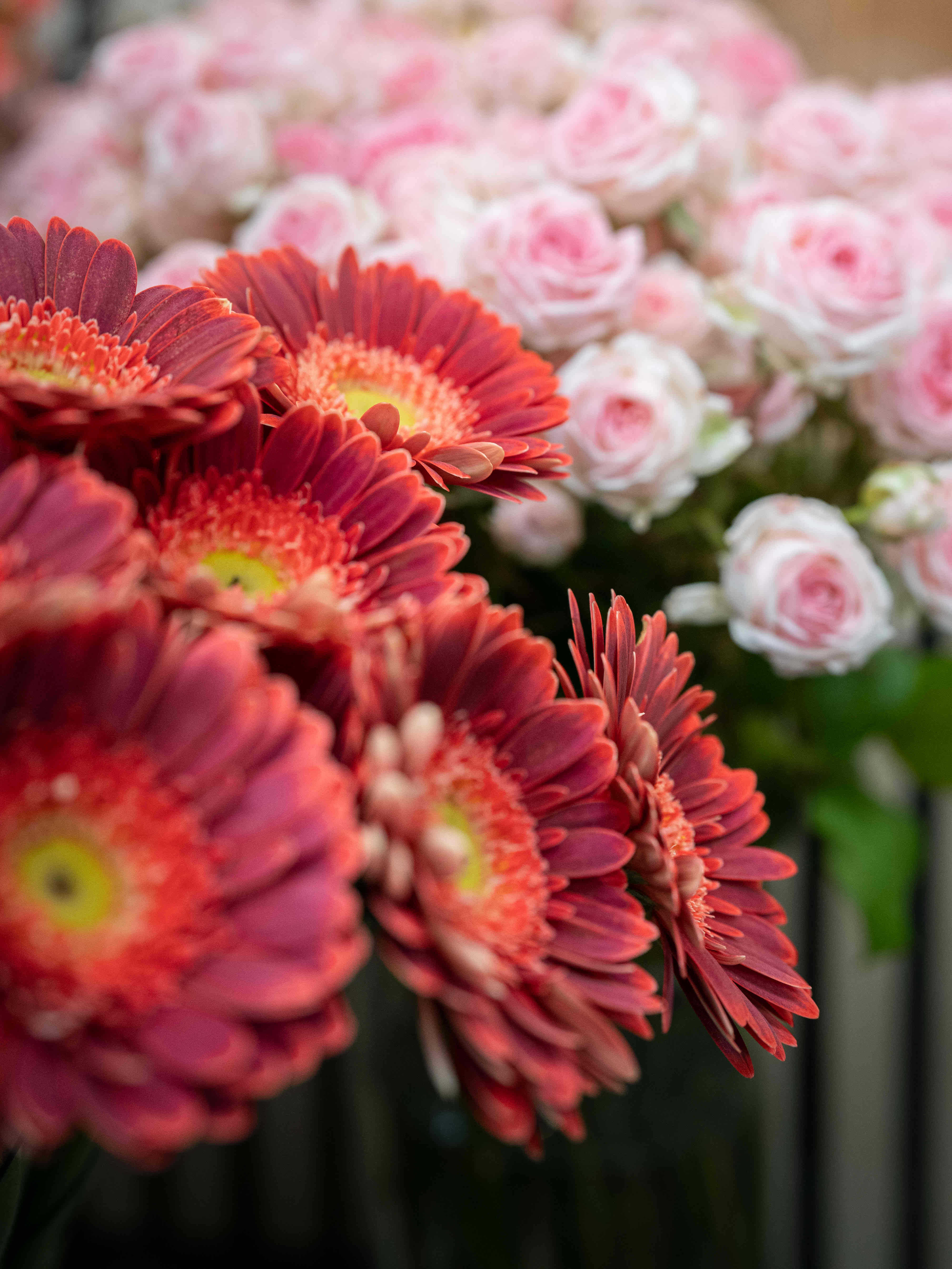 Blumenarrangement 18