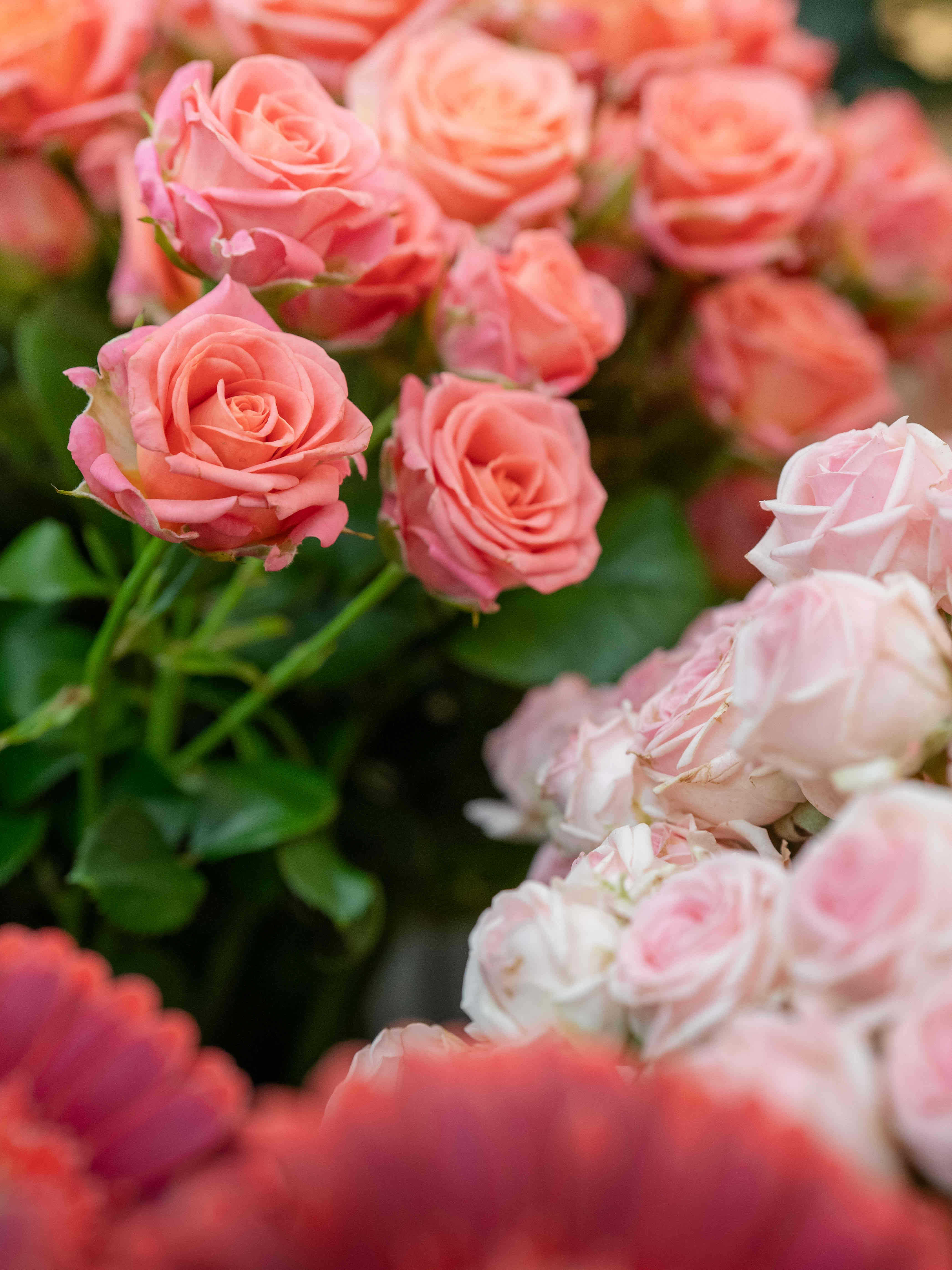 Blumenarrangement 23