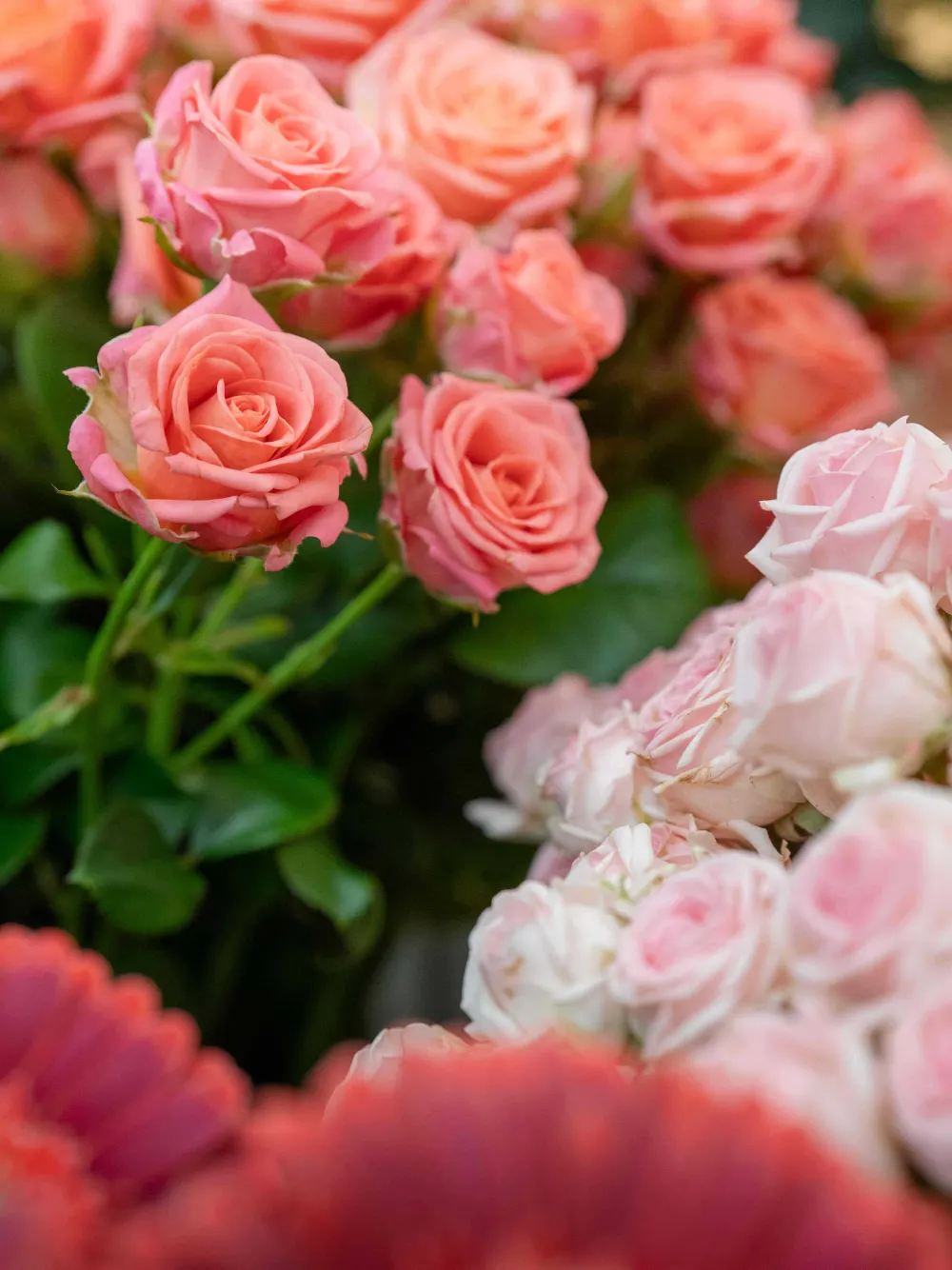 Blumenarrangement 23