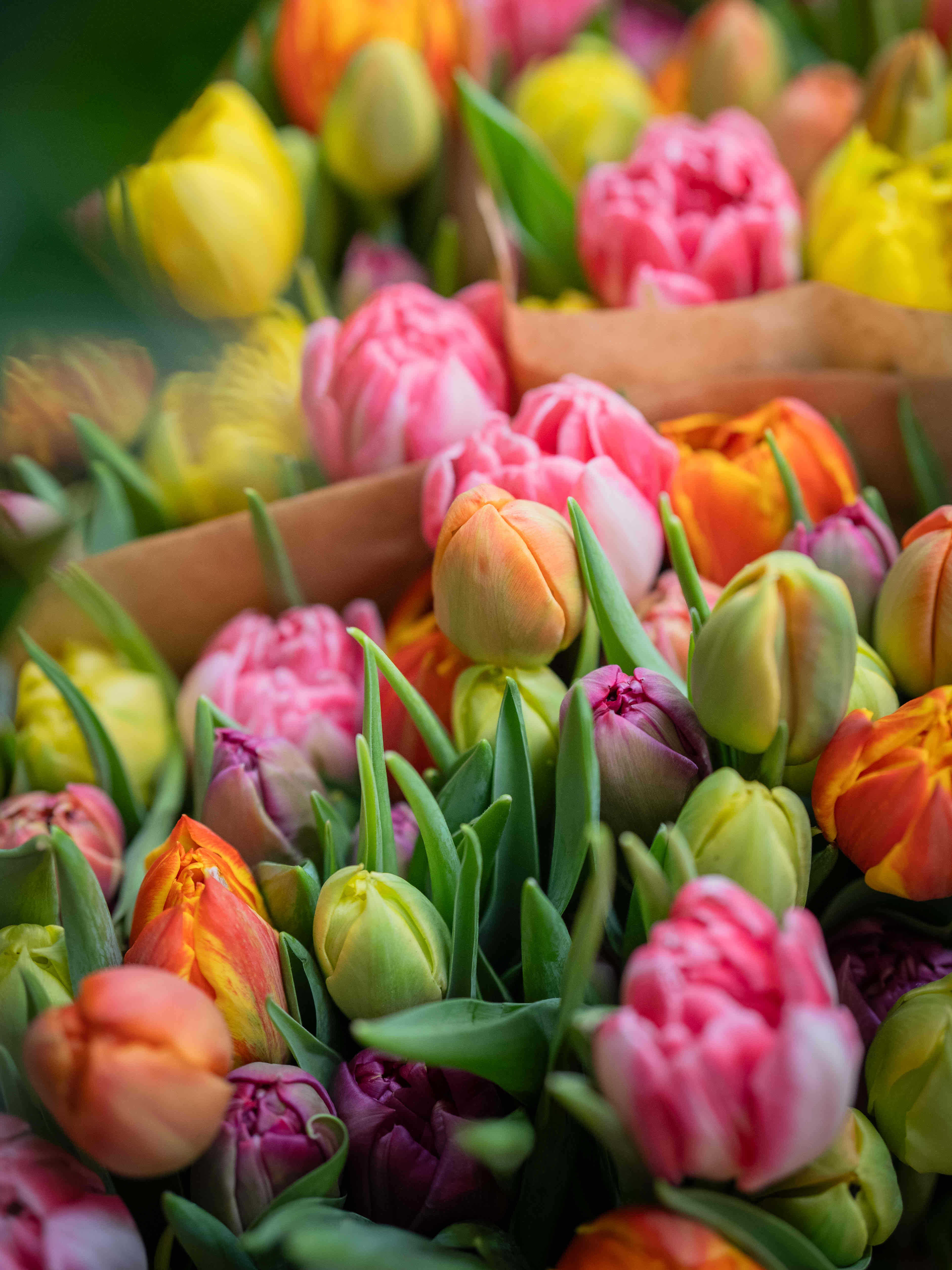 Blumenarrangement 26